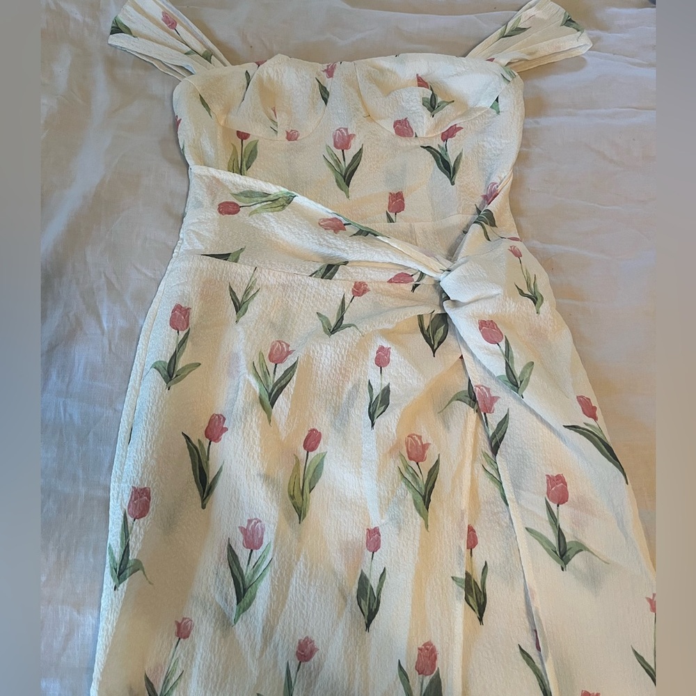 CIDER Xsmall spring Midi tulip dress -never worn